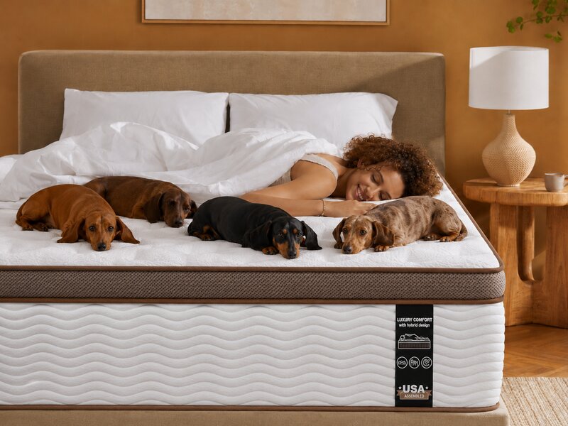 BedStory hybrid mattress with USA Assembled badge, quilted wave-pattern top on an upholstered bed frame